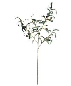 GiftsAfterLife Olive Tree Branch plus olives