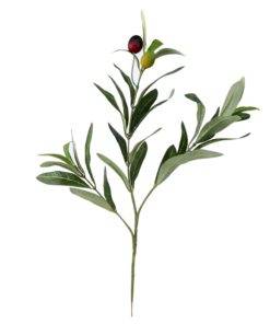 GiftsAfterLife Olive Tree Branch plus olives