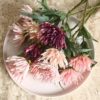 GiftsAfterLife Chrysanthemum