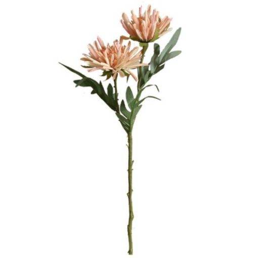GiftsAfterLife Chrysanthemum