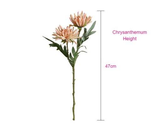 GiftsAfterLife Chrysanthemum Height