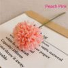 Peach Pink