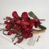 Wine-red