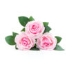 Silk Rose Faux Flower Single Short Stem In 3 Colours