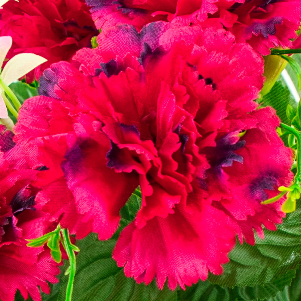 GiftsAfter.Life Crimson Carnation Flowers
