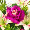 GiftsAfterLife Amaranth Coloured Faux Rose Potted Flower arrangement.