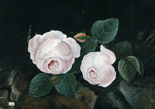 White floral arrangement symbolising purity and innocence for funerals.